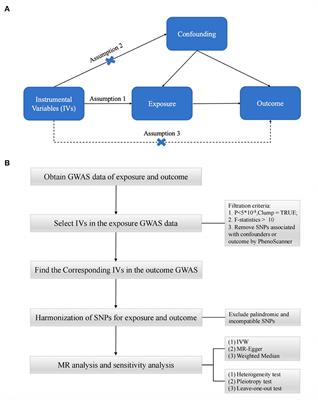 Type 2 diabetes and the risk of synovitis-tenosynovitis: a two-sample Mendelian randomization study